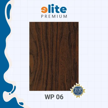 WP 06